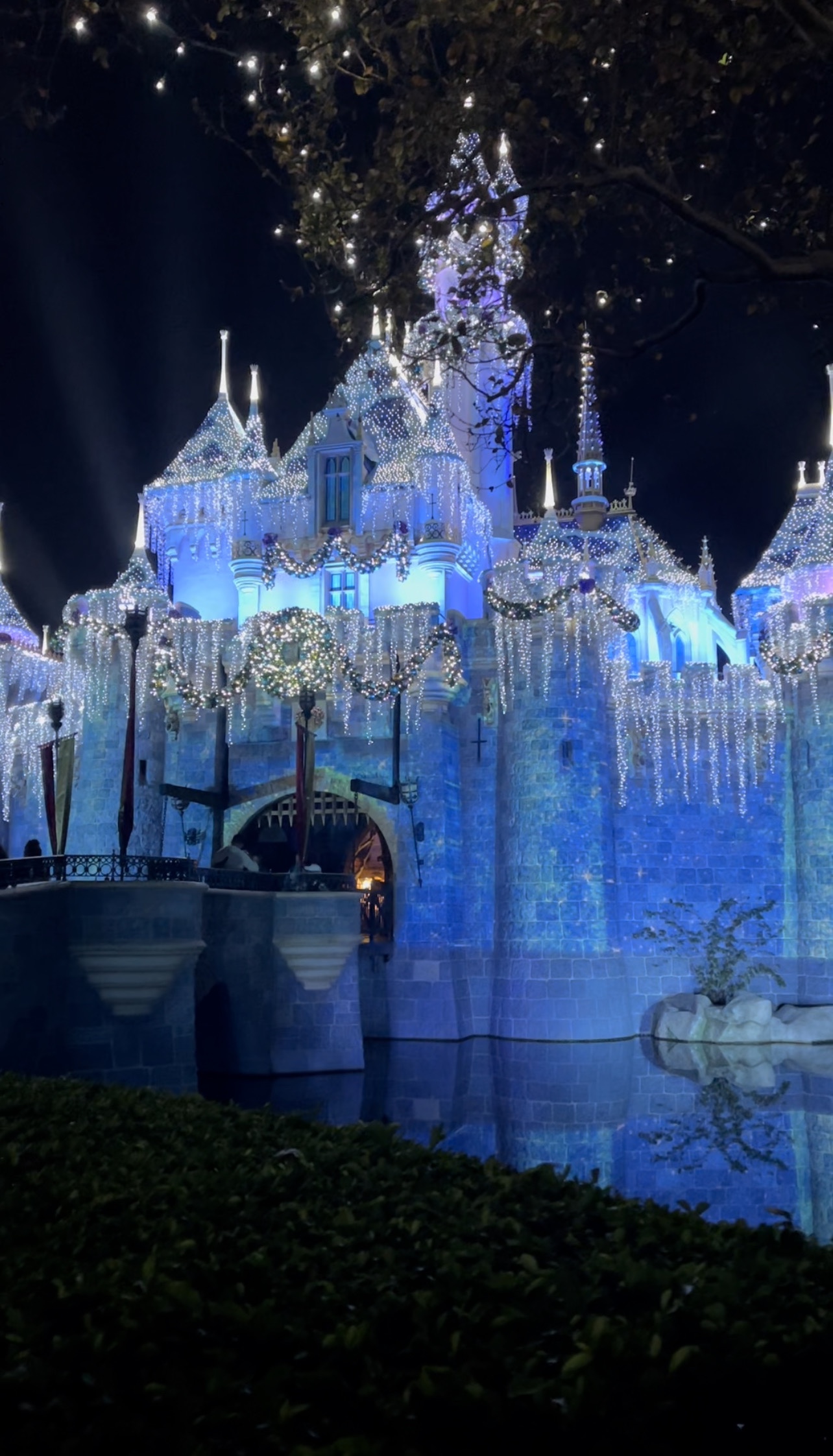 Disneyland Christmas Guide 2022: What You Can’t Miss during the Holiday Season! post thumbnail image