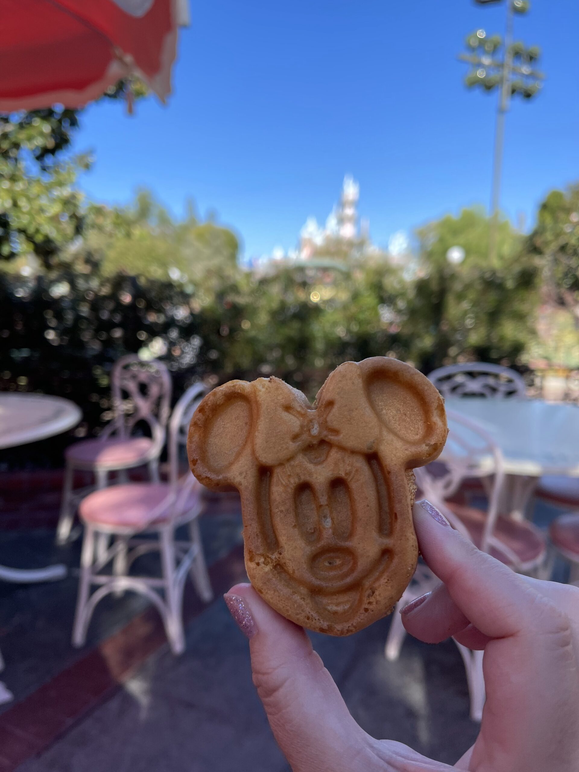 Breakfast with Minnie and Friends: Character Dining at Plaza Inn at Disneyland post thumbnail image